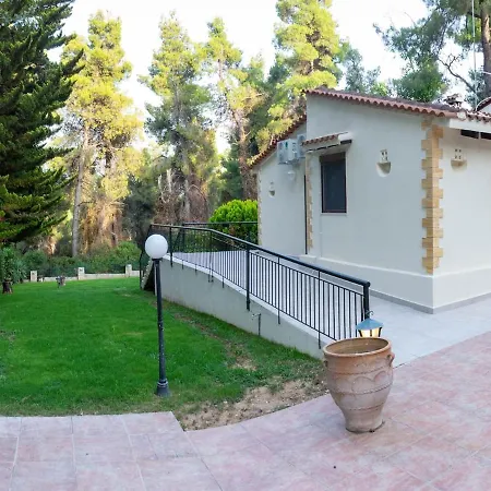 Sani Traditional Forest * Sani (Chalkidiki)