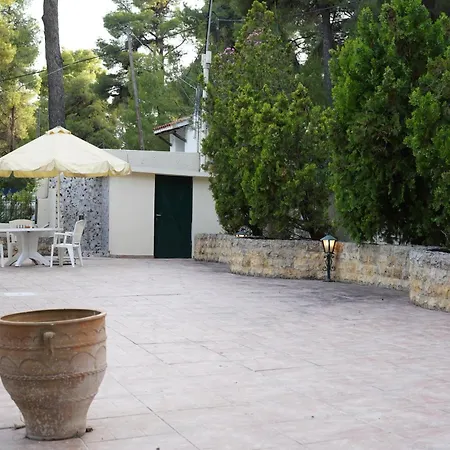 Sani Traditional Forest * Sani (Chalkidiki)