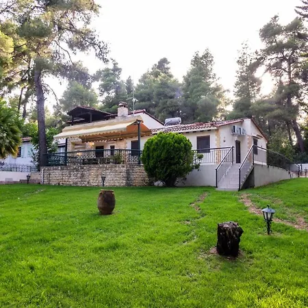 Feriehus Sani Traditional Forest