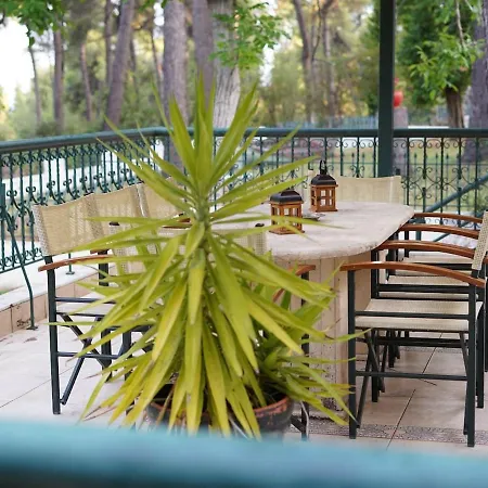 Sani Traditional Forest Feriehus *